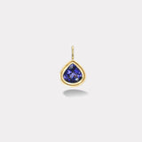 6.8ct Pear Tanzanite Double Skin Bezel Charm